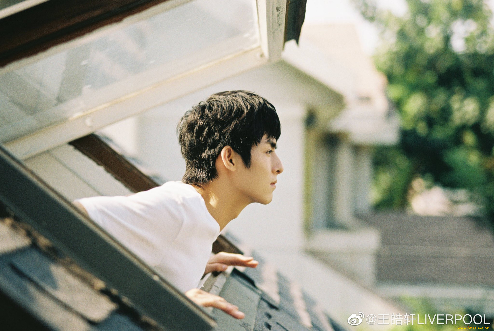 , wang hao xuan, , , , 